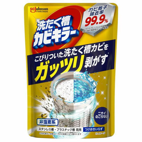 ジョンソン ガッツリ剥がす洗たく槽カビキラー 250g