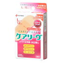 ニチバン ケアリーヴ パワー&フィット Lサイズ CLP12L 12枚入(4)