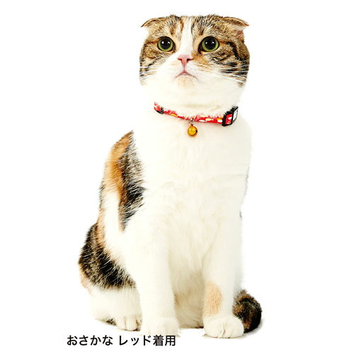 ペティオ Petio Anycat カラー ドット イエロー W57290