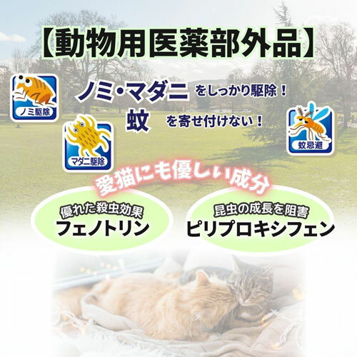 ���������ڥå� ���ѥΥߡ��ޥ��ˤȤ�&��褱���� ǭ�� �ԥ� 75500