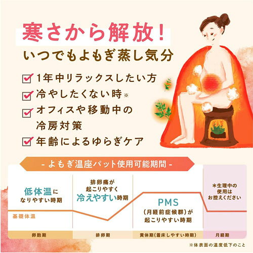 グラフィコ ウィズフェム よもぎ温座パット オーガニック 低温 6回分 webby-14678986 Webby サンプル画像3