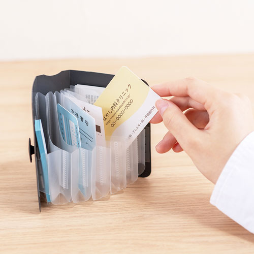 ナカバヤシ かたづくファイル mini ブラック DF-KTDF-MN-D