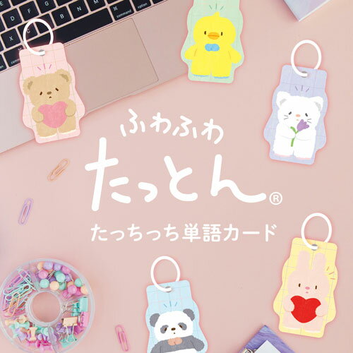 ナカバヤシ ふわふわたっとん たっちっち単語カード ねこ NT-108-2