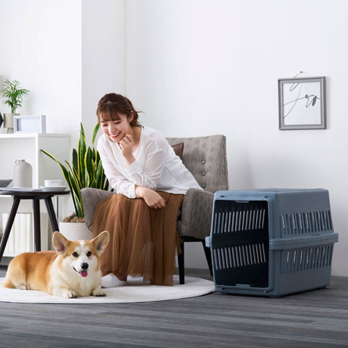 �����ꥹ������� �����ȥ�٥륭��꡼ ATC-670 ���������졼