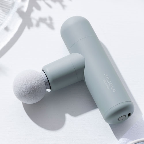 MiCOLA FRT-M01-A [�u���[]