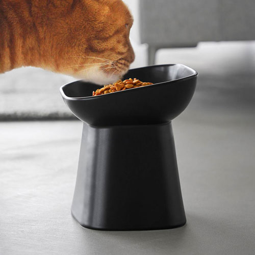 山崎実業 食べやすい高さ陶器ペットフードボウル ヌークス 斜め H17 ブラック 10562
