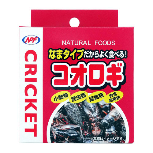-------------------------------------------------------------- 画像はイメージです。 ※ PC環境により実際の色味や質感と異なって表示される場合がございます。 ※ 部品・パーツなどの一部の商品では本体の商品画像を使用しております。 ※ 製品の仕様・画像・パッケージは、メーカー側から予告なく変更される場合があります。 -------------------------------------------------------------- ▲商品の特性上、基本的にご返品を承ることが出来ません。何卒ご了承ください。（返品・キャンセル不可） 加熱処理により完全殺菌し、新鮮なまま缶詰にした衛生的なフードです。嗜好性抜群のなまタイプ！加熱処理により完全殺菌し、新鮮なまま缶詰にした衛生的なフードです。■原材料・材質コオロギ■成分表水分75％以下、粗蛋白質20％以上、粗脂肪5％以上、粗繊維1％以下、粗灰分3％以下■原産国インドネシア 【発売元、製造元、輸入元又は販売元】ナチュラルペットフーズ株式会社 こちらの商品は、ペット用の商品です。広告文責：ナチュラルウェブ株式会社TEL：03-6423-0750※パッケージ・内容等予告なく変更する場合がございます。 【メーカー・ブランド】 naturalpetfoods / NPF / なちゅらるぺっとふーず 【#119】　