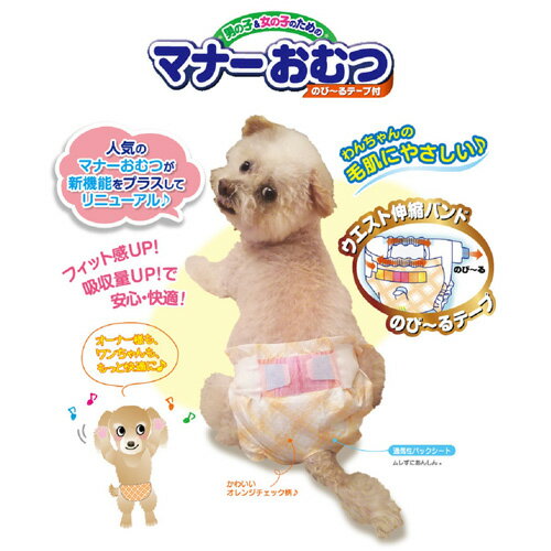 サンプル画像2