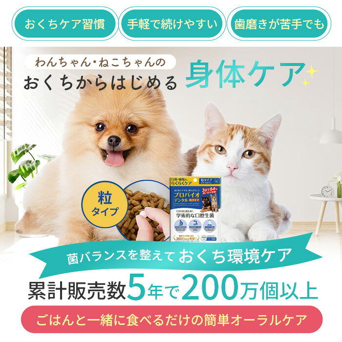 【500円OFFクーポン配布中】ポスト投函 まとめ買い プレミアモード プロバイオデンタル 40粒 3個セット 粒タイプ 犬 猫 口臭ケア サプリ タブレット デンタルケア 歯磨き 口腔ケア オーラルケア 乳酸菌 口腔善玉菌 善玉菌 菌活 ごはんに混ぜる おやつ 粒 webby-14545404 Webby サンプル画像3