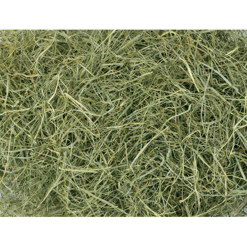 �ޤȤ��㤤 �������� �̳�ƻ ���եȥ��⥷�� 600g 3�ĥ��å� ������ �ҥ����� ���� ����� ������ܿ� ���ִ��� �� ��ưʪ �� ������