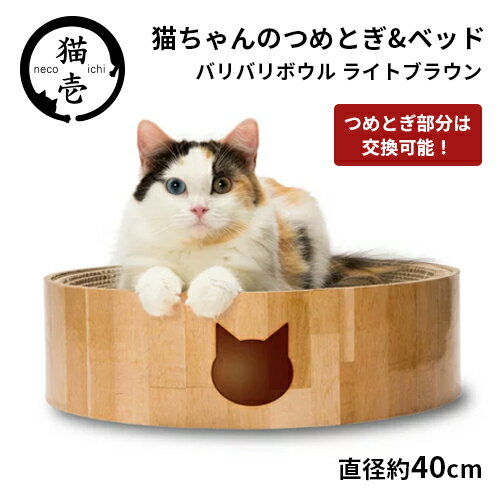 猫壱 バリバリ ボウル 猫柄