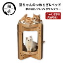 猫壱 バリバリボウルタワー(4)