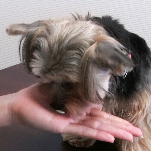 thum2