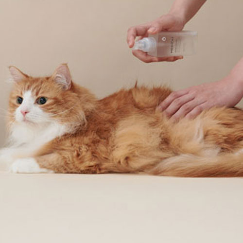 MEDICAT メディキャット モイストローション 100ml ペット 猫 ねこ 乾燥 スキンケア トラブル ローション 高保湿 ケア かゆみ 肌荒れ 皮膚炎 専門医 日本製