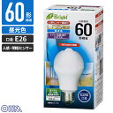 オーム電機 LED電球 E26 60形相当 人感明暗センサー付 昼光色 LDA8D-H R21
