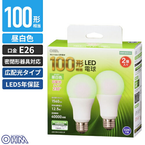 オーム電機 LED電球 E26 広配光タイプ 100W相当 昼白色 2個入 LDA13N-G AG52 2P