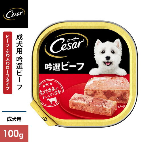 �V�[�U�[ ��I�r�[�t �r�[�t 100g