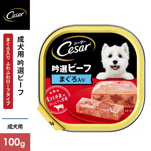 �V�[�U�[ ��I�r�[�t �܂������ 100g