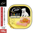 マースジャパン シーザー 2ヶ月からの子犬用 ビーフ キャロット たまご入り 100g CE50N 1080229