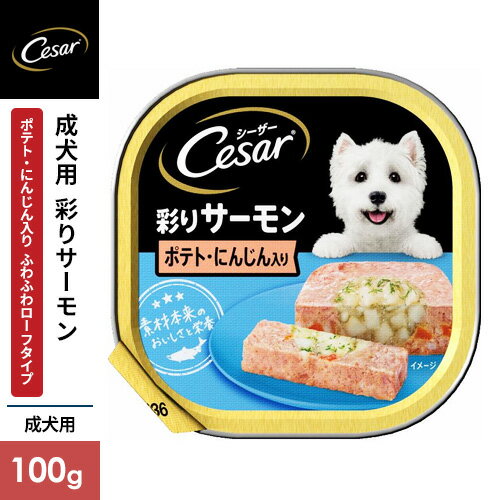 �V�[�U�[ �T�[�������� �|�e�g�Ƃɂ񂶂���� 100g