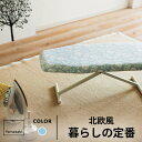 山崎実業 北欧風 暮らしの定番 解決プレス ブルー 3957 アイロン台 折り畳み 持ち運び おしゃれ