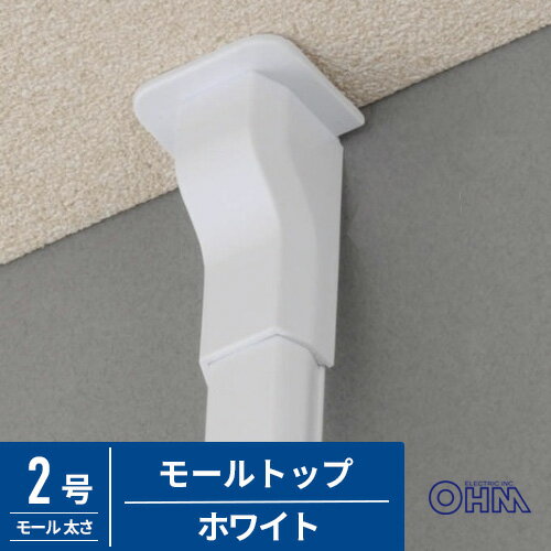 オーム電機 配線モール モールトップ 2号 白 DZ-FMT2W