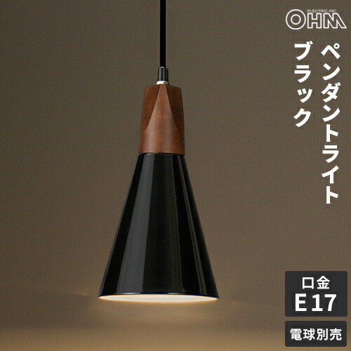 オーム電機 ペンダントライト E17 ブラック LT-YN117AW-K