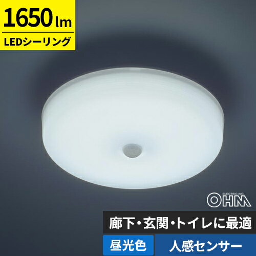 Other - オーム電機 LEDミニシーリングライト 人感センサー 100形 1650ルーメン 昼光色 LE-Y13RB-WD