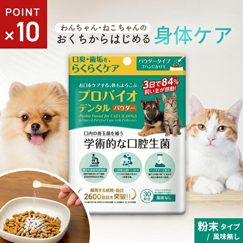 楽天市場】デンタル パウダーの通販