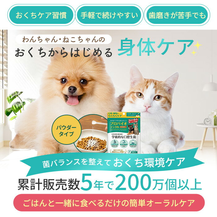 【100円OFFクーポン配布中】ポスト投函 プレミアモード プロバイオデンタル 犬・猫・小動物用 パウダー 7.35g 犬 猫 口臭ケア 水に混ぜる デンタルケア 歯磨き 歯磨き粉 口腔ケア オーラルケア 乳酸菌 口腔善玉菌 善玉菌 菌活 粉末 ごはんにかける ごはんに混ぜる 無風味 webby-14323104 Webby サンプル画像3