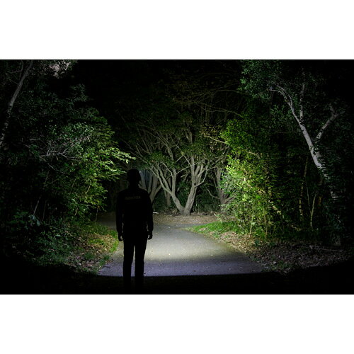 ジェントス GENTOS GAIN TECHシリーズ ヘッドライト GT-393D通販格安セール情報　楽天　通販