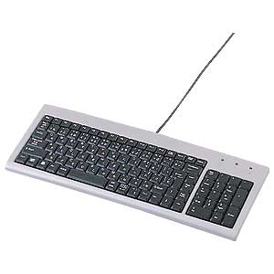 サンワサプライ スリムキーボード SKB-SL02U