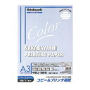 ナカバヤシ コピー&プリンタ用紙 カラータイプ A3 100枚入 HCP-3101-B