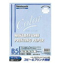 ナカバヤシ コピー&プリンタ用紙 カラータイプ B5 100枚入 HCP-5101-B