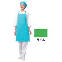 アイメッシュエプロン 首掛けタイプ E5200 22ライム