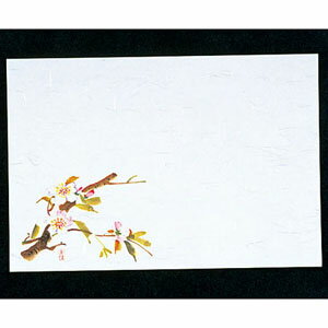 マイン 四季紙・千寿 100枚入 桜 M30-205