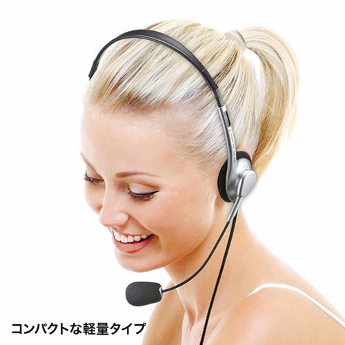 サンワサプライ マルチメディアPCヘッドセット（シルバー） MM-HS515SVN