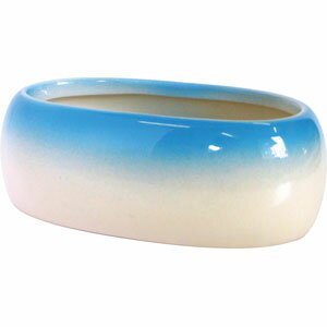 ナチュラルペットフーズ 小判型 大 4100462