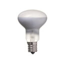 ヤザワコーポレーション ミニレフ球 50W 2個 RF5017502P