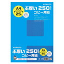 日本ノート ぶ厚い250gsmコピー用紙 A4 PPC250A4