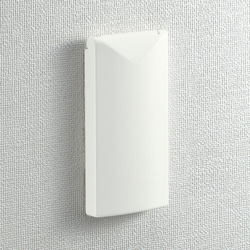 サンワサプライ 鍵無しセキュリティスリムコンセントカバー TAP-KJCV2