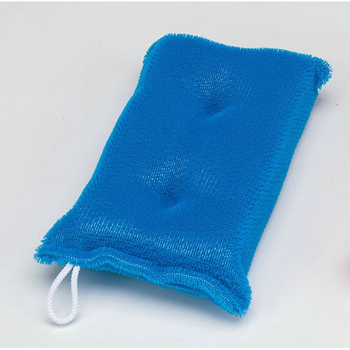 丸善化工 落ちますポンジ 大 AS-6 5個入 ブルー