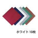 EBM カトラリーケース用ナプキン 10枚入 ホワイト 230×230