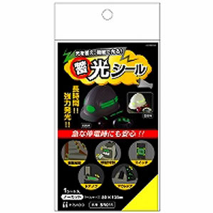 ヒサゴ 蓄光シール SR011