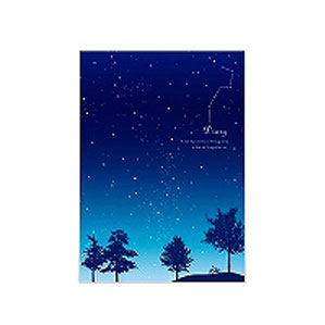 ポスト投函 ミドリ 日記 星空柄 12389006 ポスト投函 ミドリ 日記 星空柄 12389006