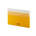 LIHIT LAB リヒトラブ AQUA DROPs コングレスケース A4 黄 A-5035-5