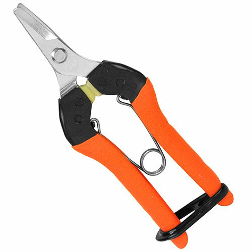 ���ܥƥ� �׷�ۼ� �β̤Ϥ��� No.AG-2