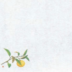 ヤマコー 5寸グルメ敷紙 柚子 100枚 64778