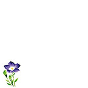 -------------------------------------------------------------- 画像はイメージです。 ※ PC環境により実際の色味や質感と異なって表示される場合がございます。 ※ 部品・パーツなどの一部の商品では本体の商品画像を使用しております。 ※ 製品の仕様・画像・パッケージは、メーカー側から予告なく変更される場合があります。 -------------------------------------------------------------- ■ サイズ約 9.8×9.8cm 【メーカー・ブランド】 ヤマコー / やまこー / YAMACO 【#187】