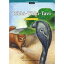 e-future e-future Classic Readers 8-03. Rikki-Tikki-Tavi 1,155円